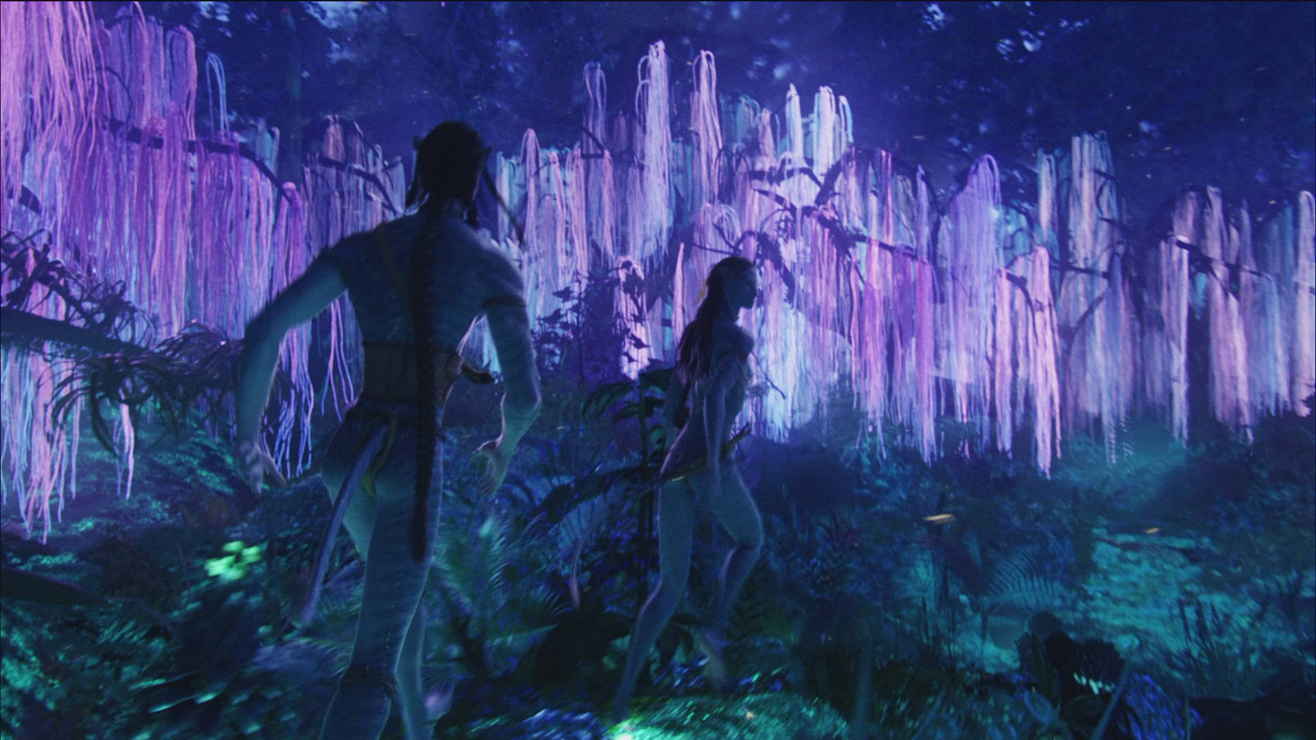Pandora Forest Avatar Film