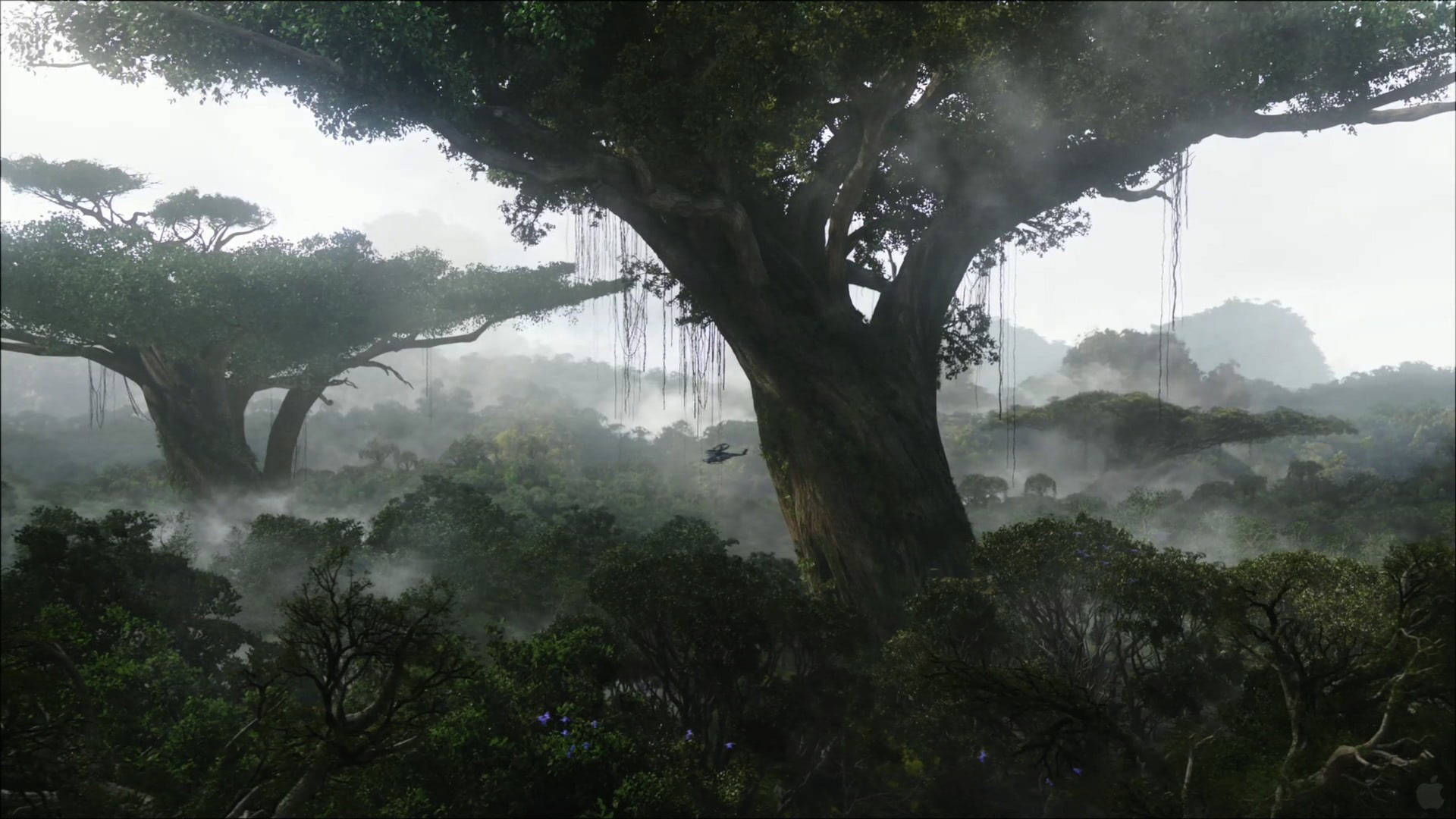 Pandora Misty Forest Wallpaper