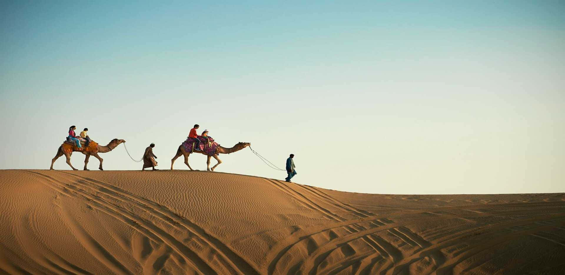Panoramic Arab Man And Camel Walking In Desert Wallpaper