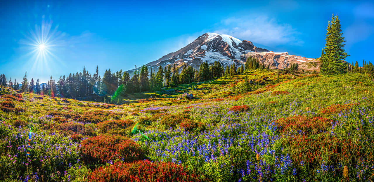 Mount Rainier Panoramic Desktop Wallpaper