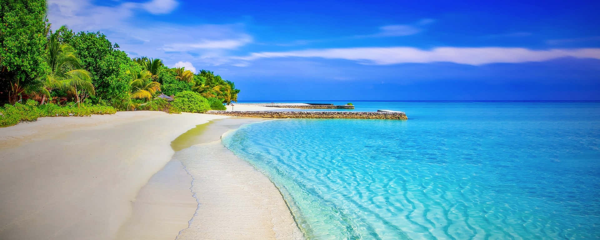 Blue Ocean Beach Panoramic Picture