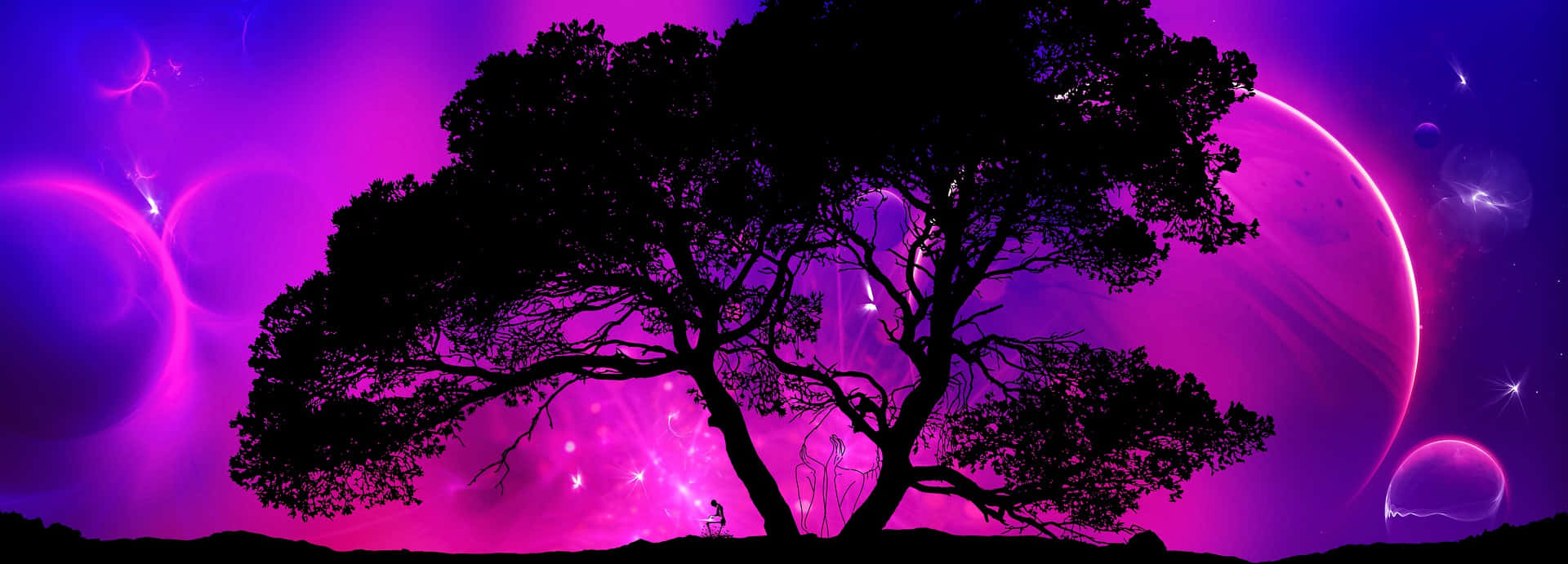 Purple Pink Tree Silhouette Panoramic Picture