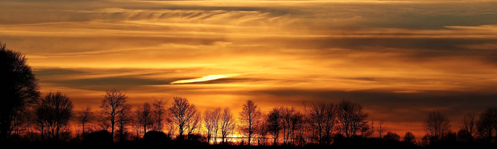 Træer solnedgang himmel panorama billede