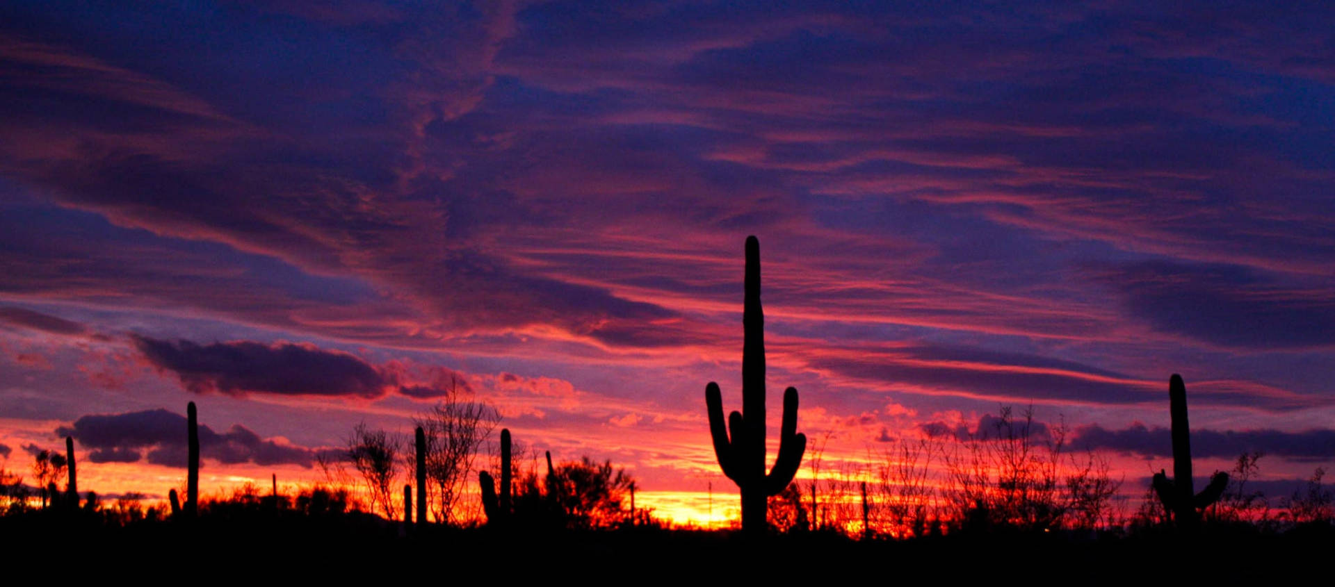 Panoramic Tucson Sunset Silhouette Wallpaper