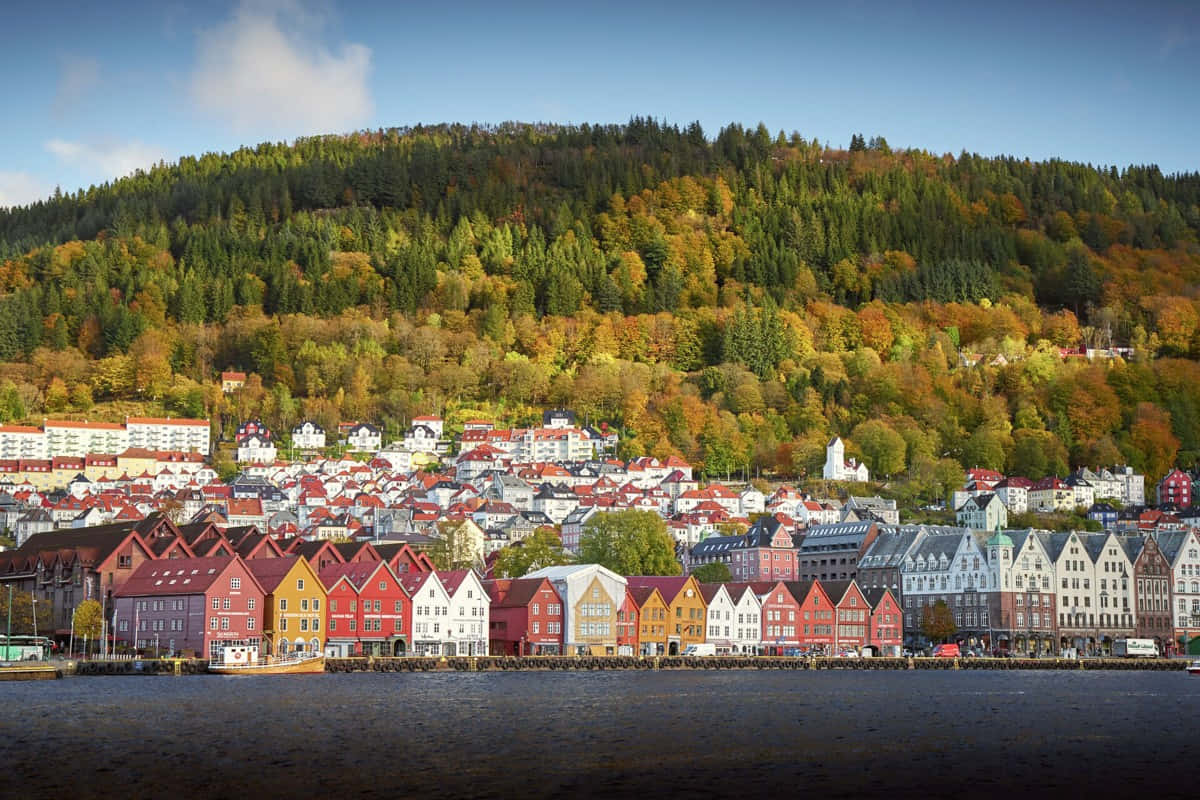 Panoramic View Of Bergen, Norway Wallpaper