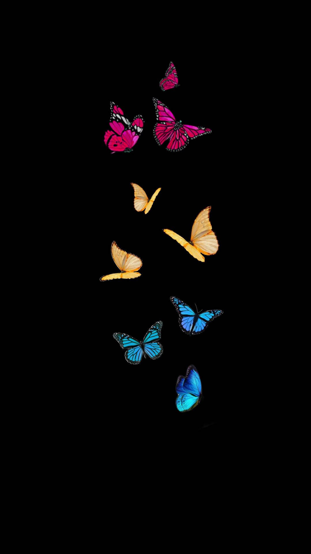 Pansexual Butterflies Wallpaper
