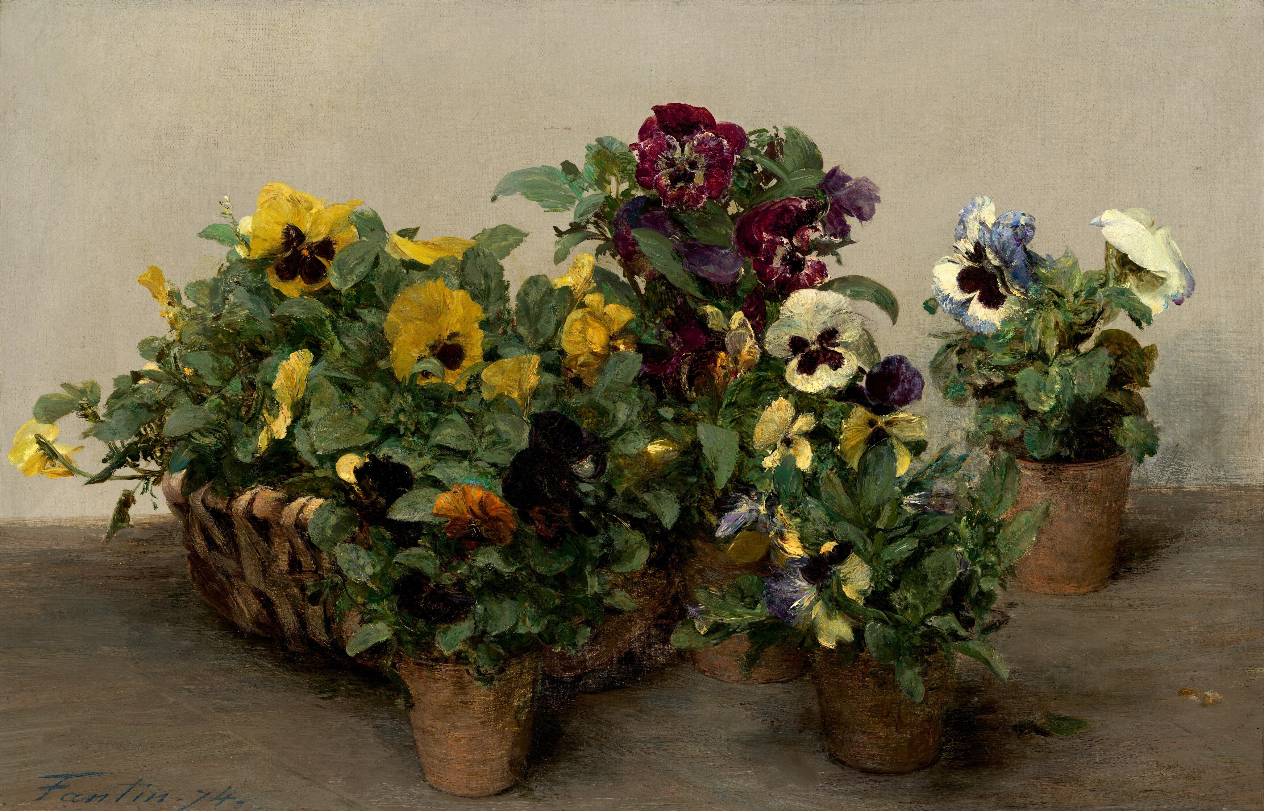 Pansies Wallpaper