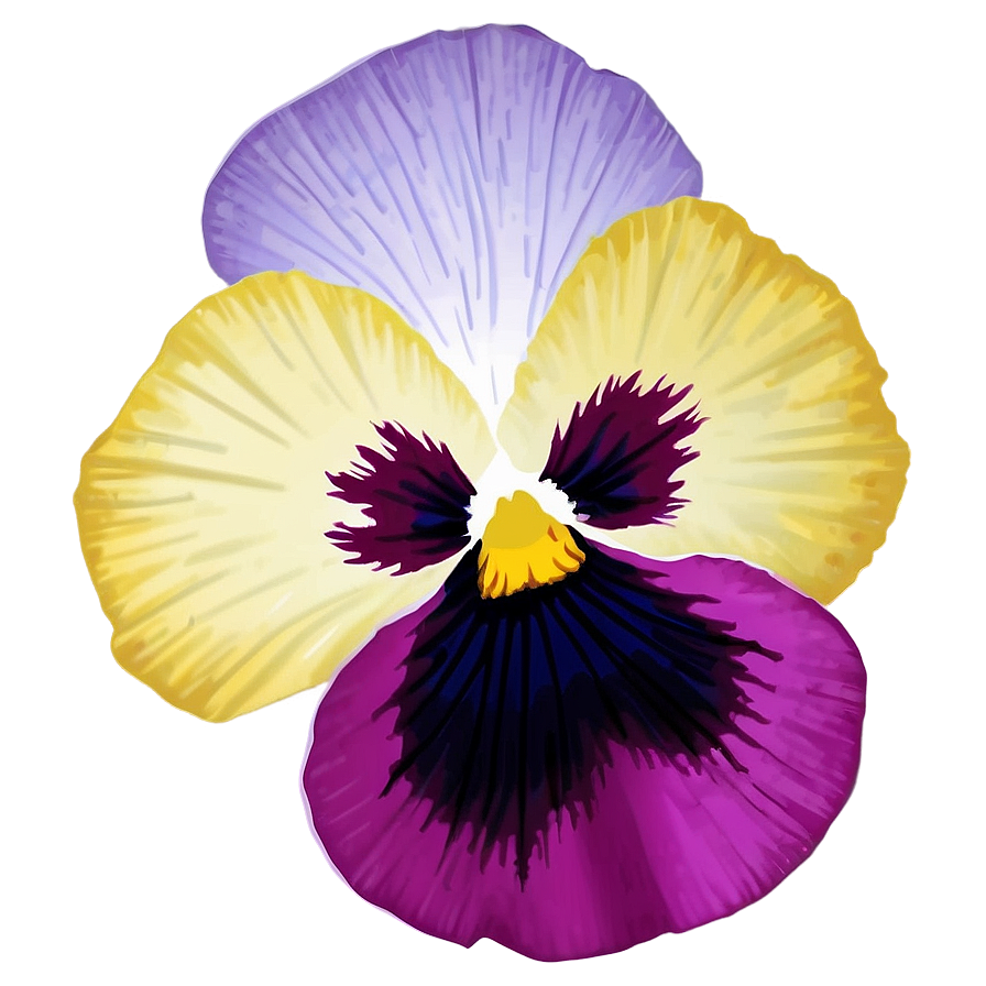 Pansy D PNG