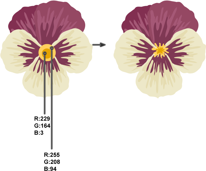 Pansy Flower Color Variation Vector PNG