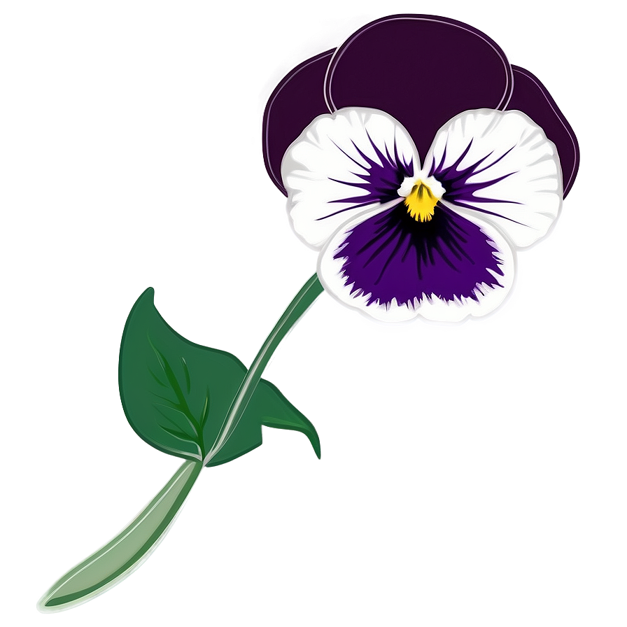 Download Pansy Flower Drawing Png Dfq27 | Wallpapers.com