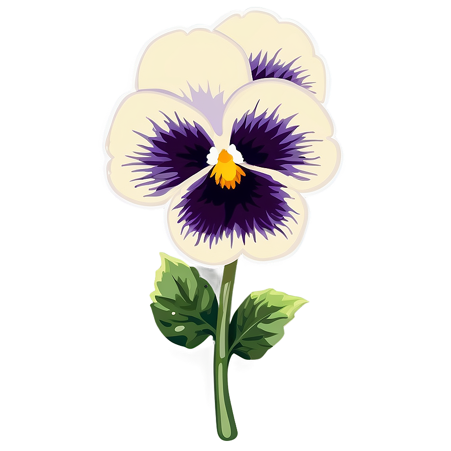 Pansy Flower Transparent Png Coo PNG