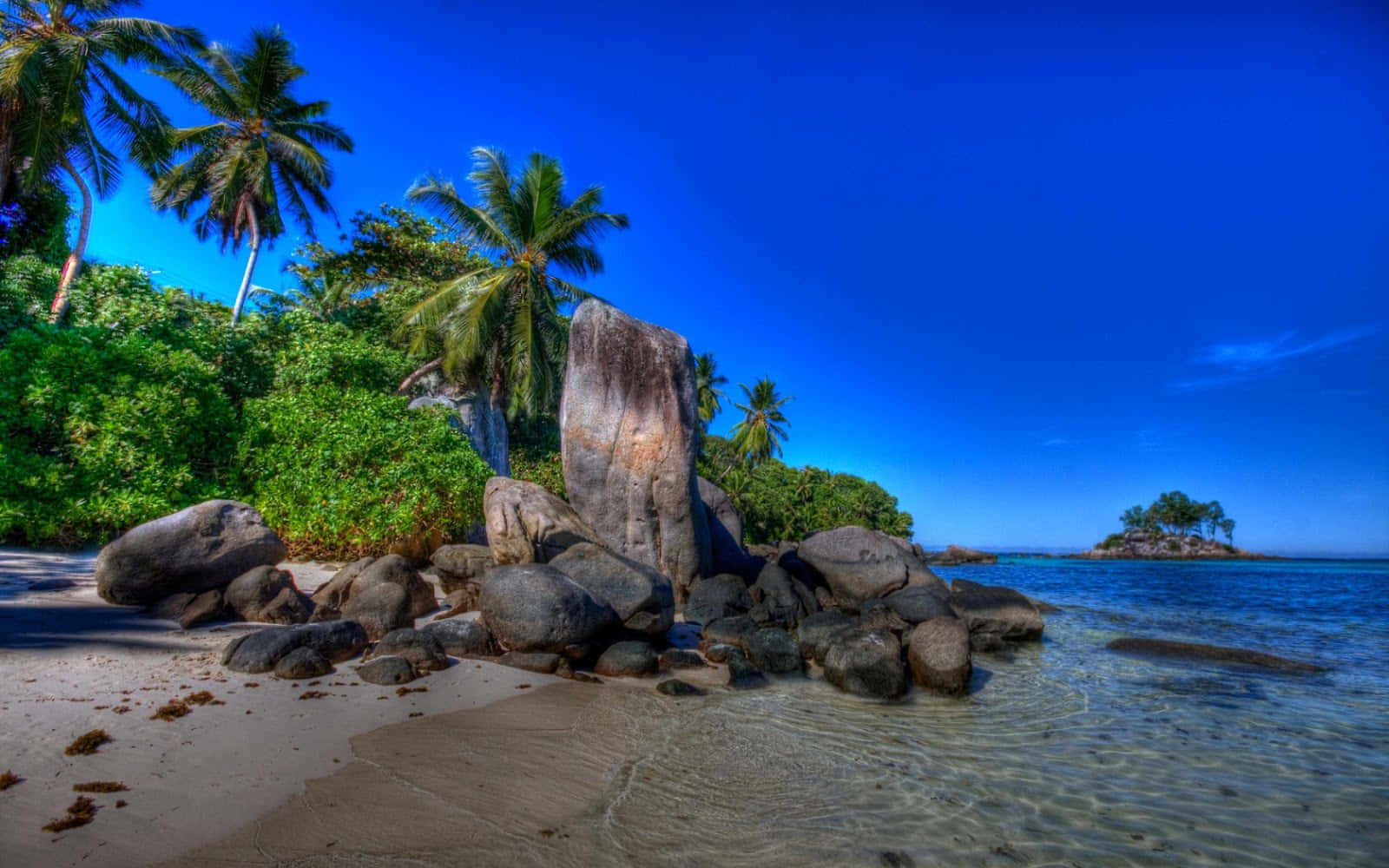 Pantai Large Rocks And Palm Trees Picture