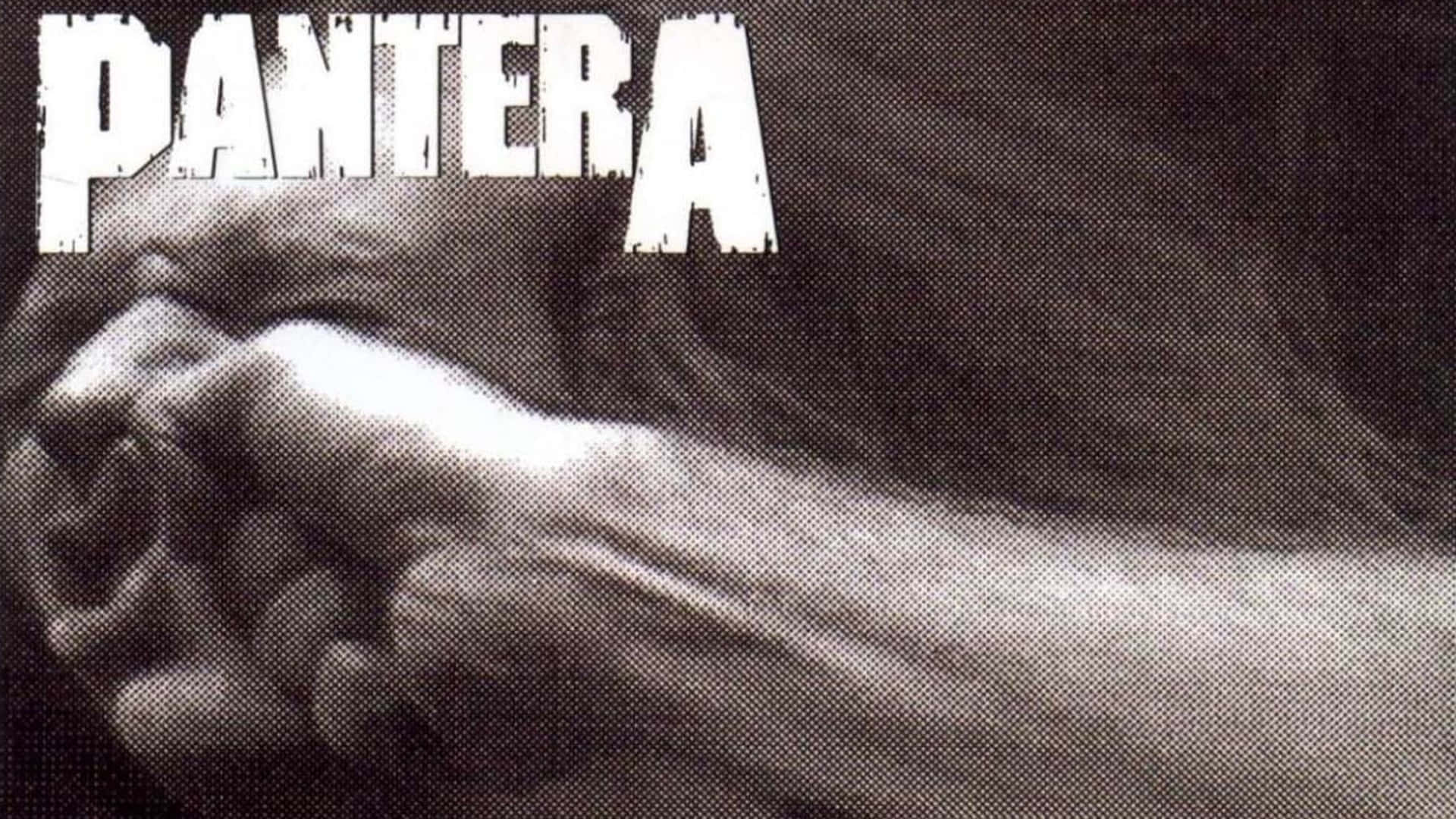 Pantera - A Cd Cover Wallpaper