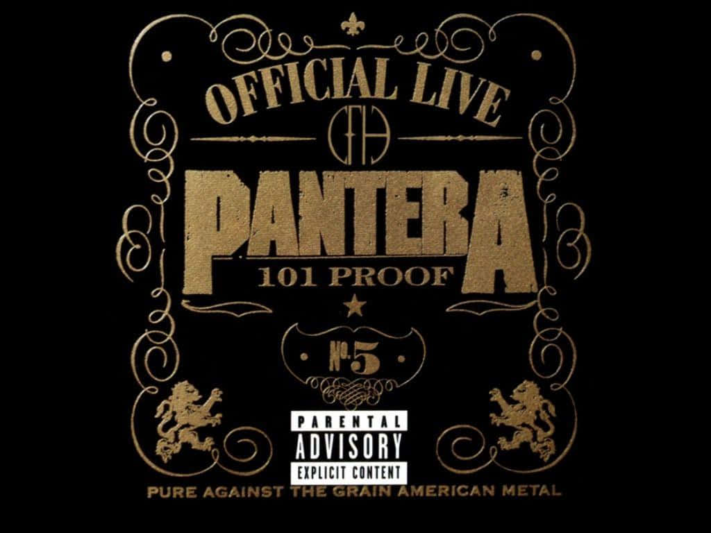 Panteras kraftfulde indflydelse - En ikonisk heavy metal band. Wallpaper