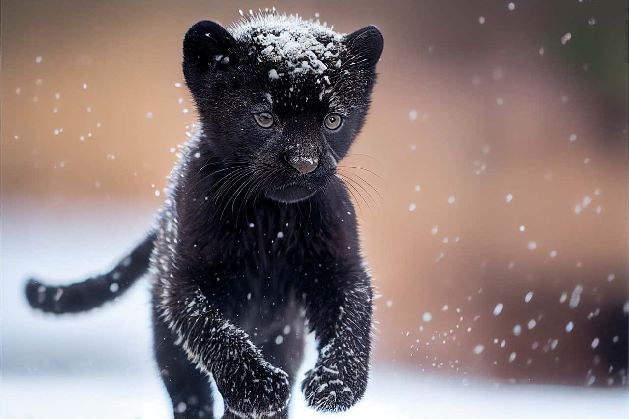 Majestic Black Panther in its Natural Habitat