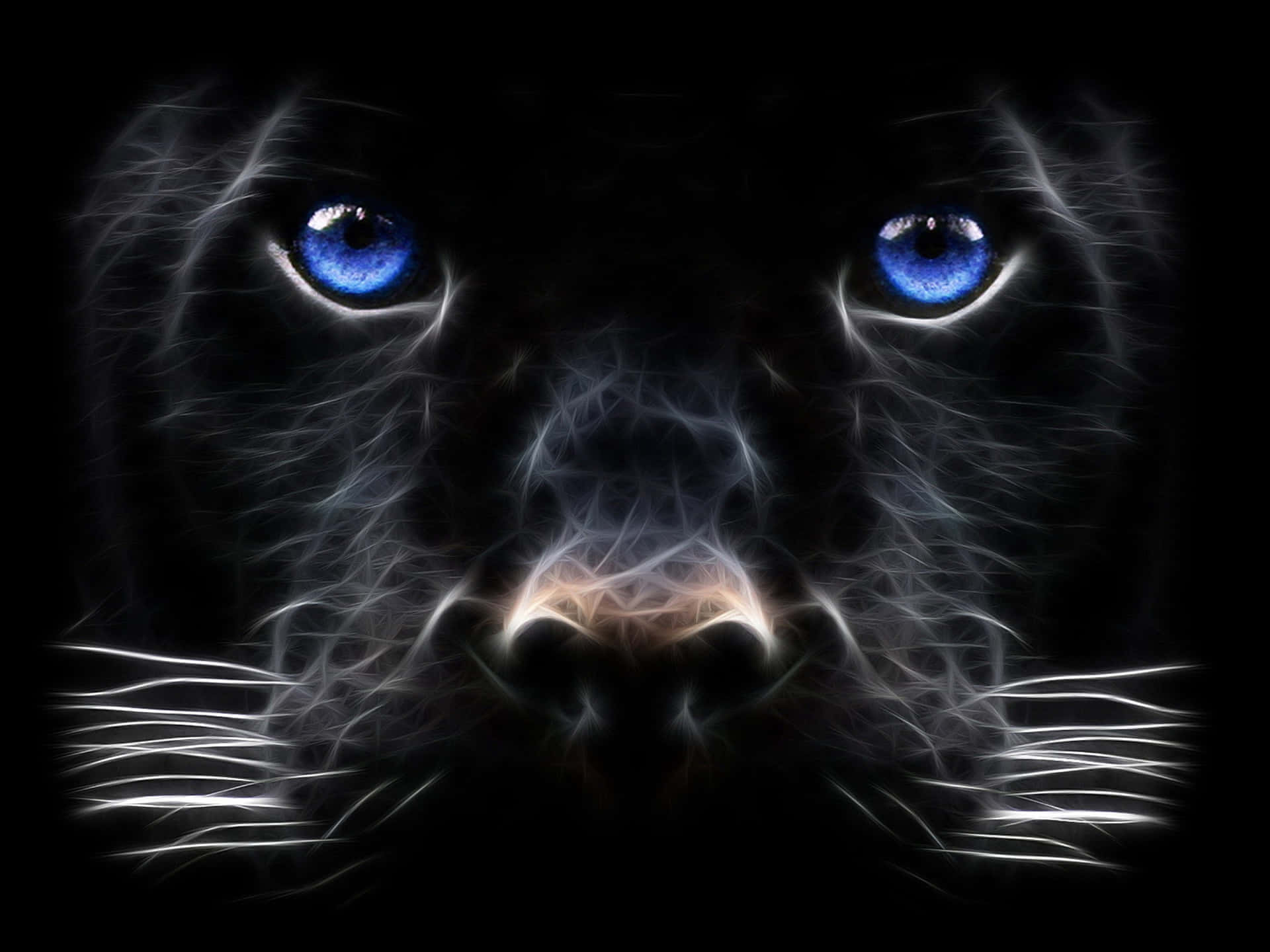 Panther1920 X 1440 Hintergrund