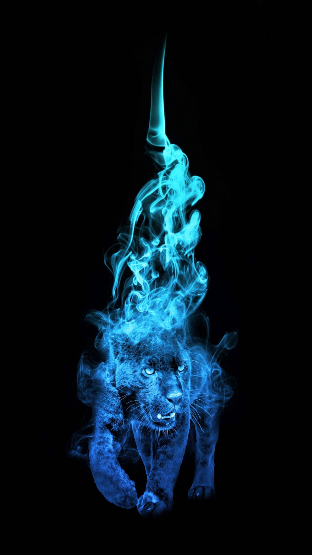 Panther Blue Flames Wallpaper