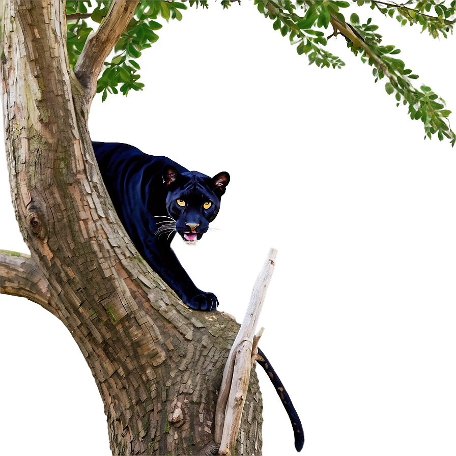 Panther In Tree Png 11 PNG