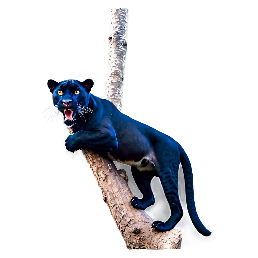 Panther On Branch Png 13 PNG