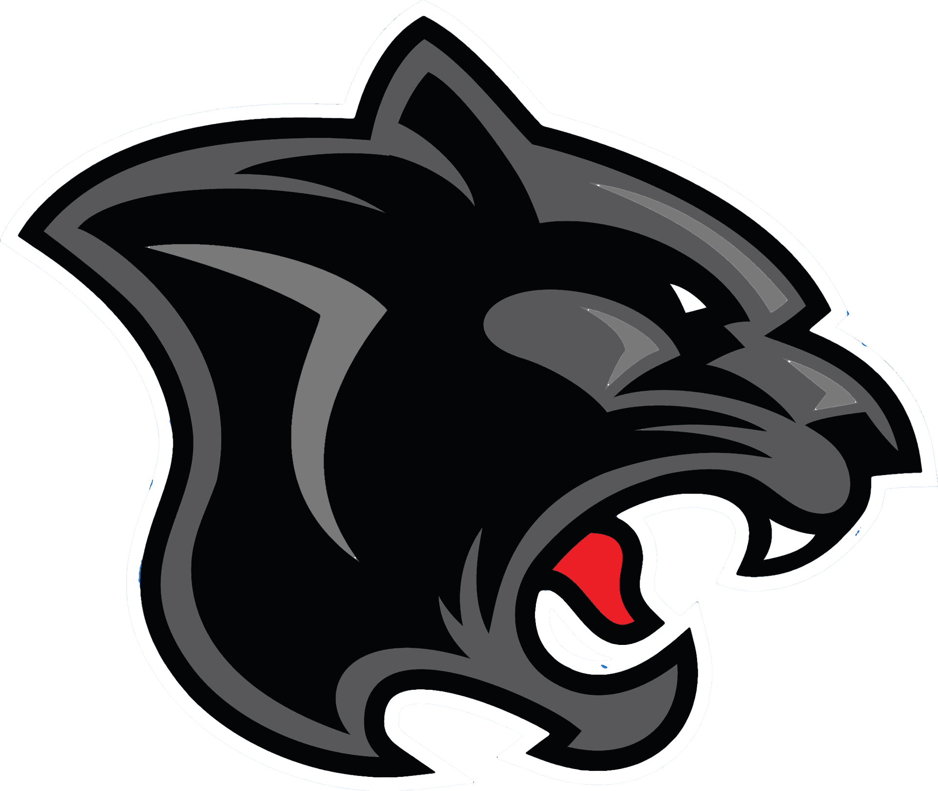 Panthers Team Logo PNG