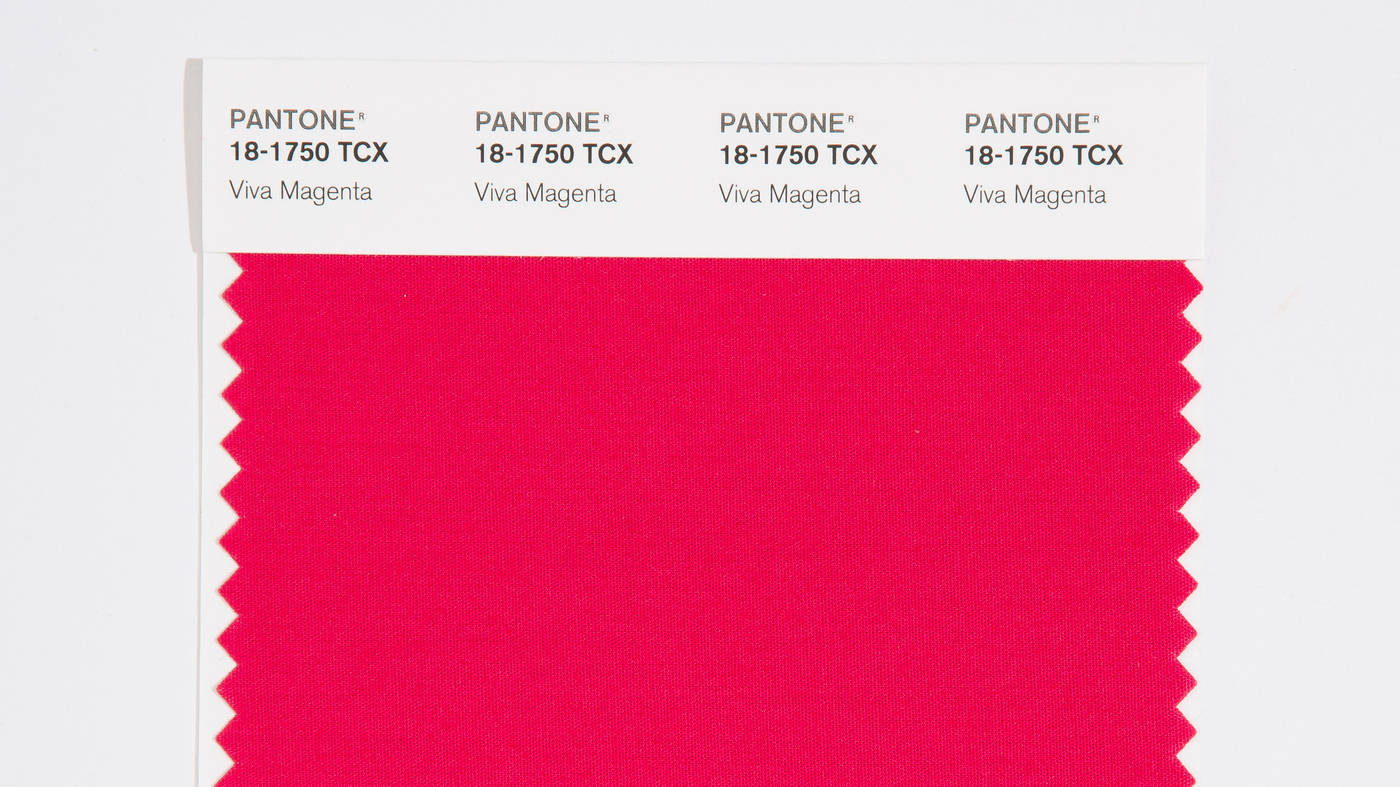 Pantone Viva Magenta Color Swatch Wallpaper