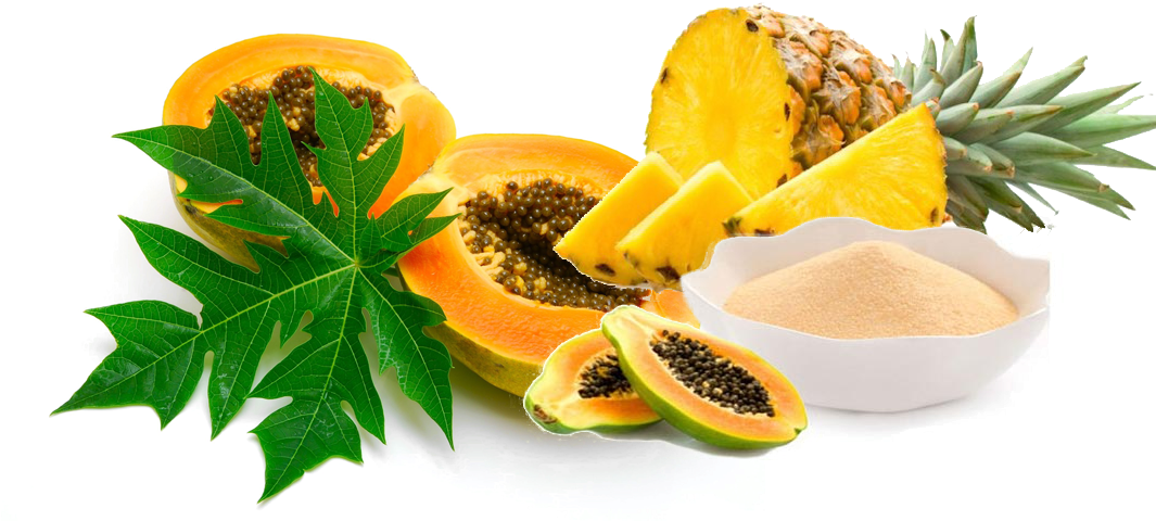 Papaya Pineapple Fruit Display PNG