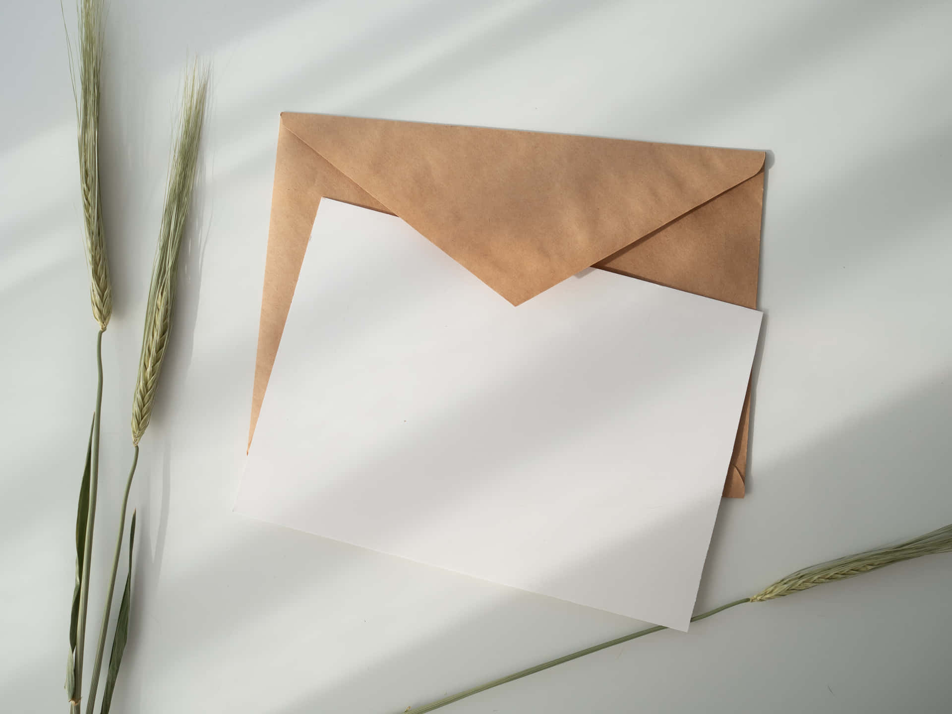 Print Paper On Envelope Background