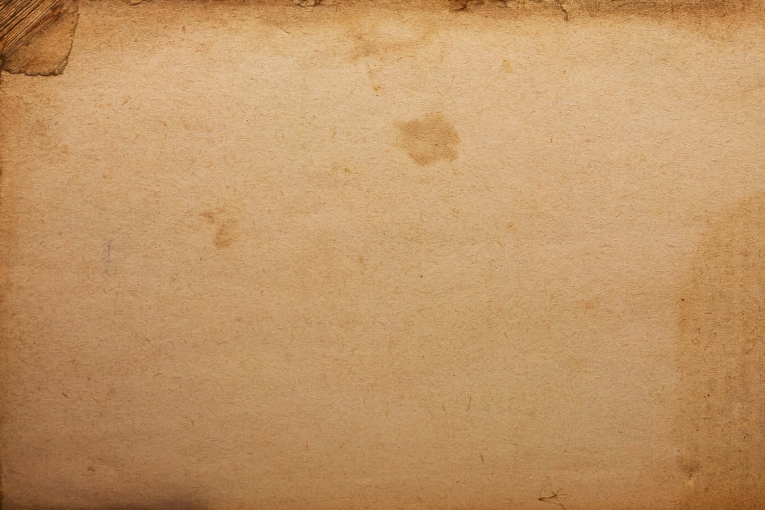 A close up shot of a crumpled sheet of paper