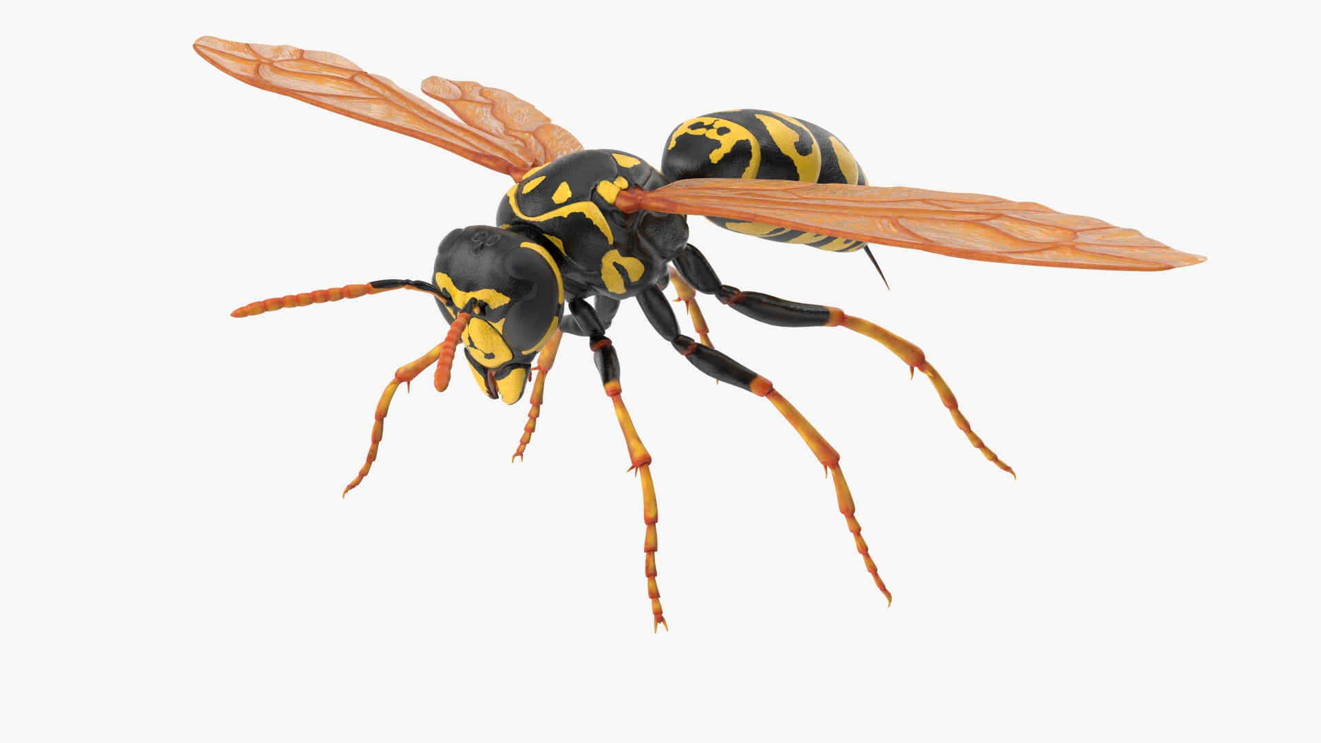 Paper Wasp In Flight Wallpaper