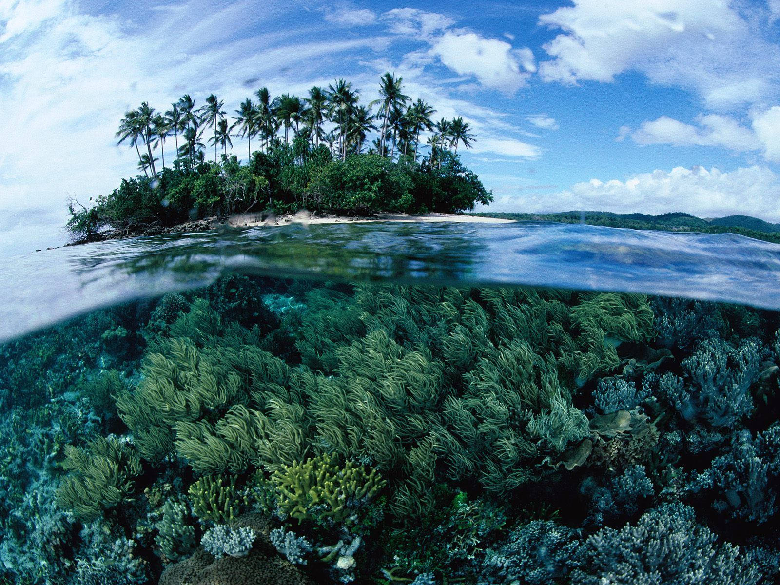 Papua New Guinea Coral Reefs