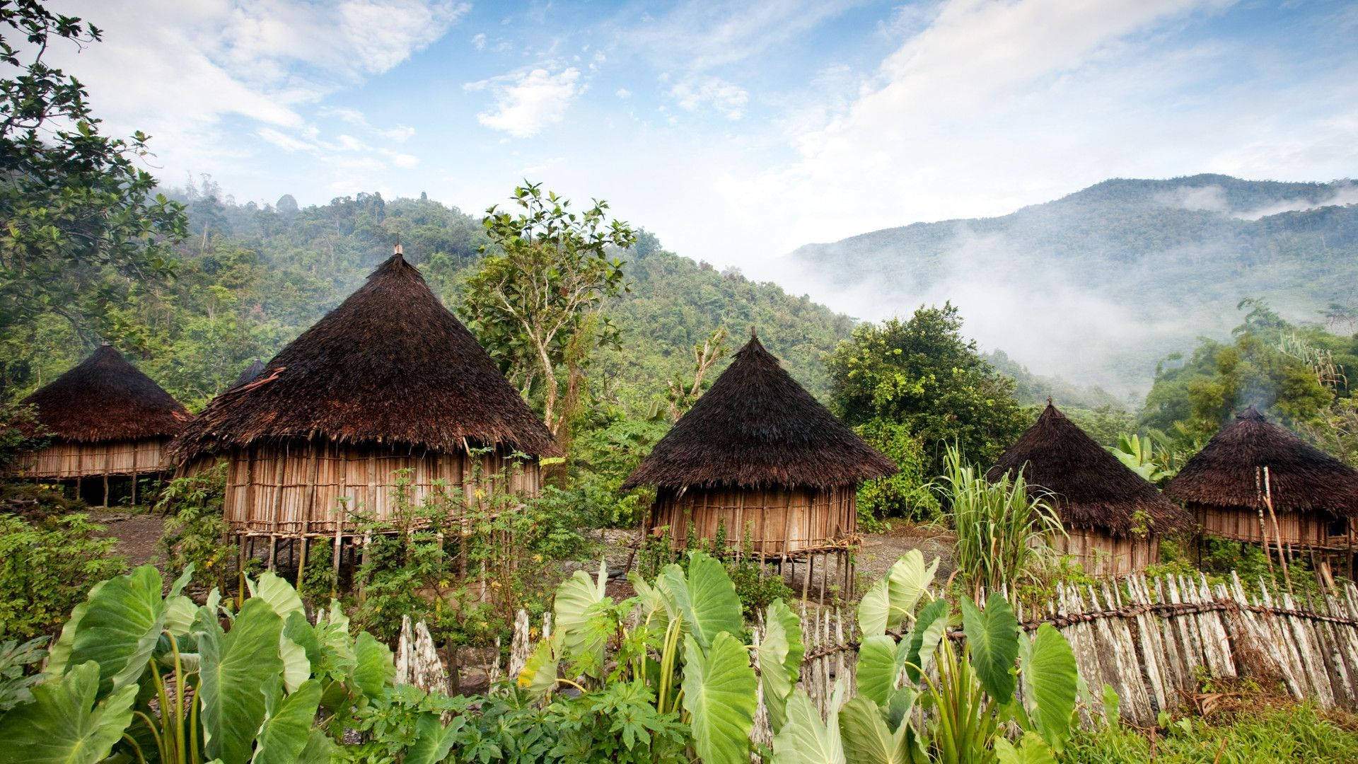 Papua New Guinea Huts