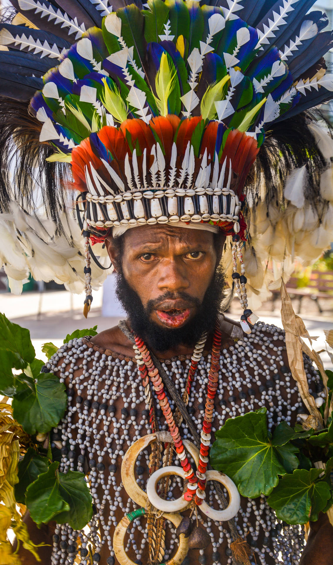 Papua New Guinea Tribal Costume