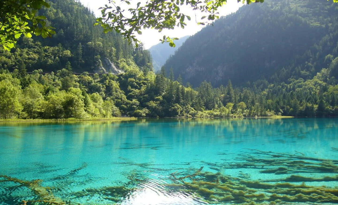 A Blue Lake Surrounded By Trees And Green Grass