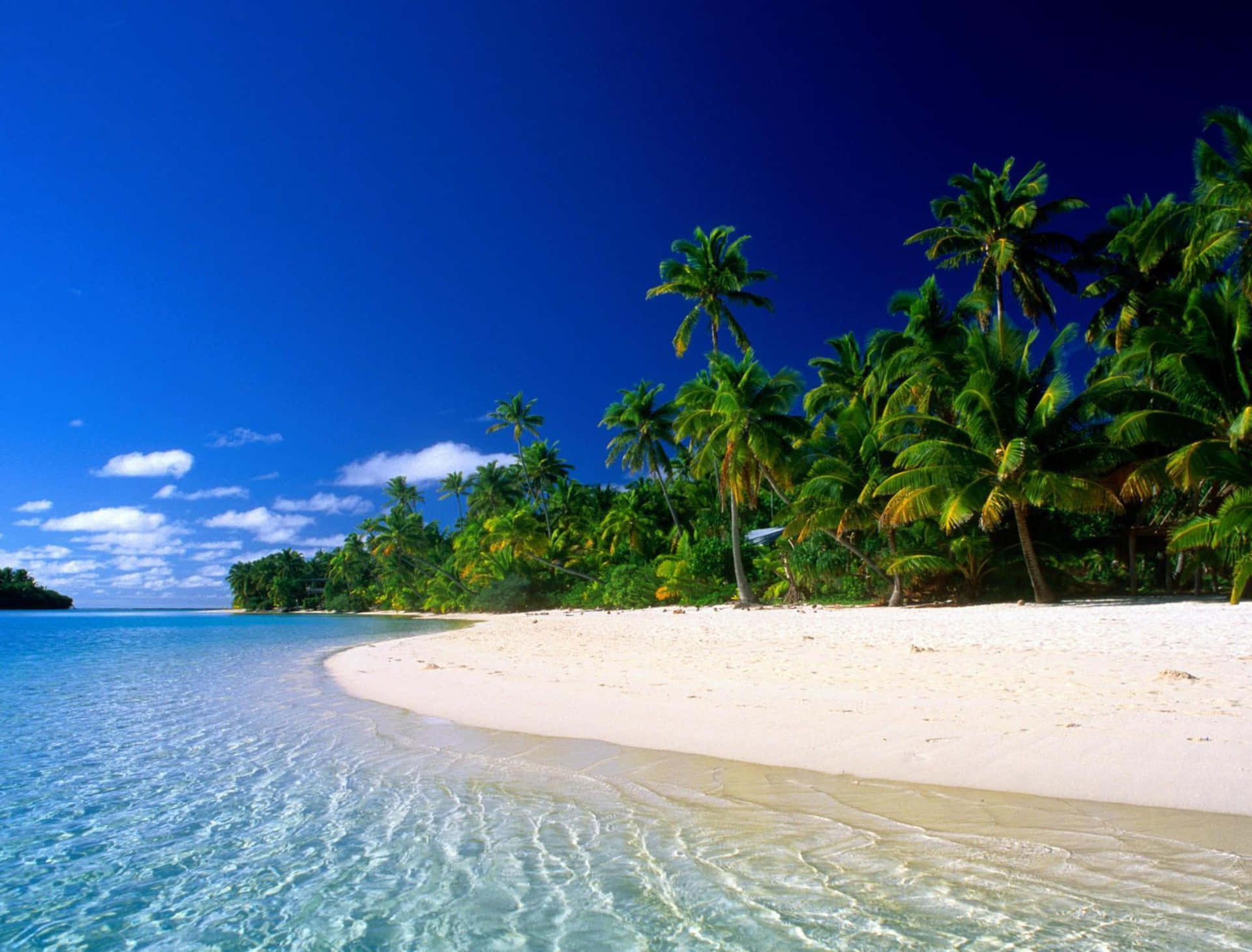 A Beach With Palm Trees And Clear Water