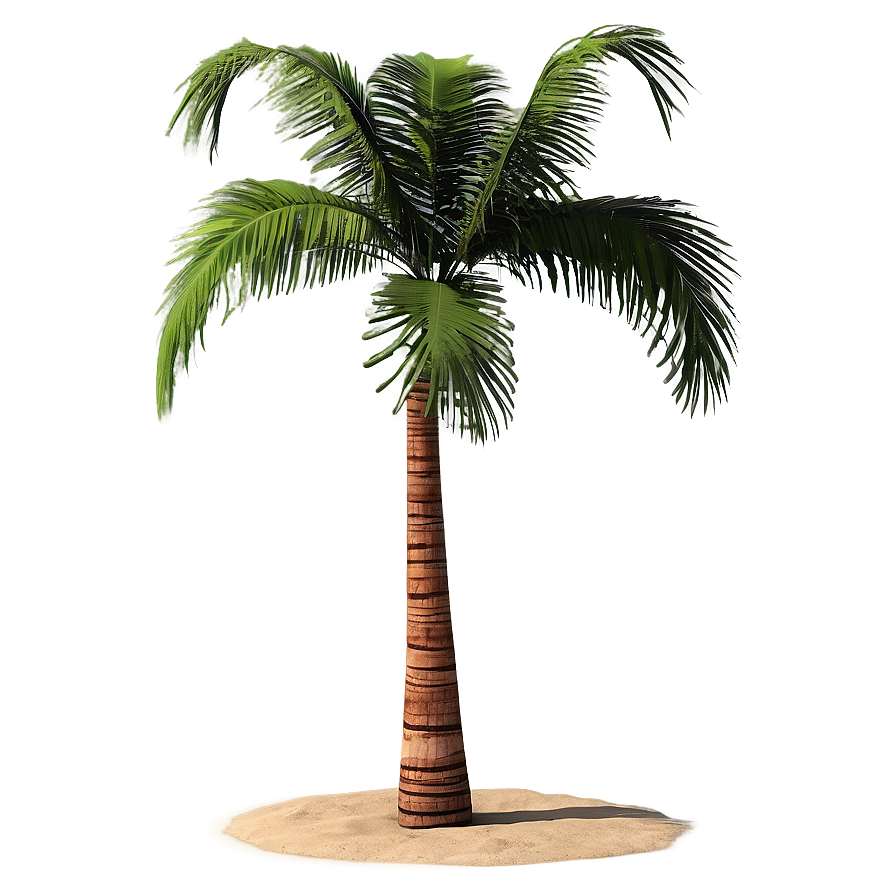 Paradise Beach Palms Png Exe34 PNG