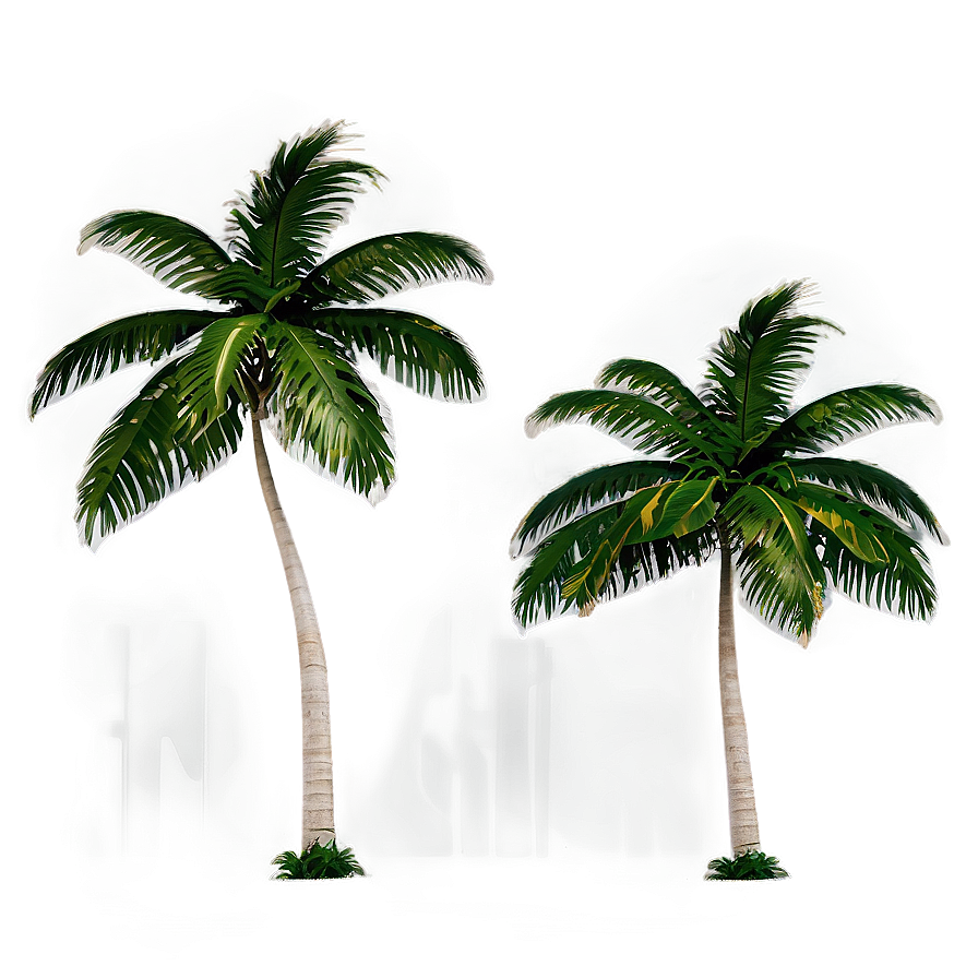 Paradise Beach Palms Png Run58 PNG