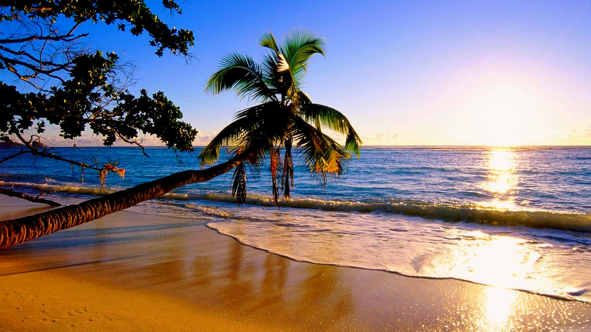 Lovely Sunset Beach Paradise Picture