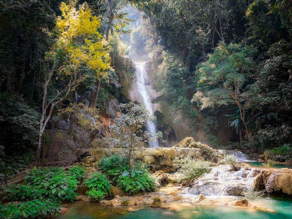a waterfall in a jungle with green trees and a waterfall