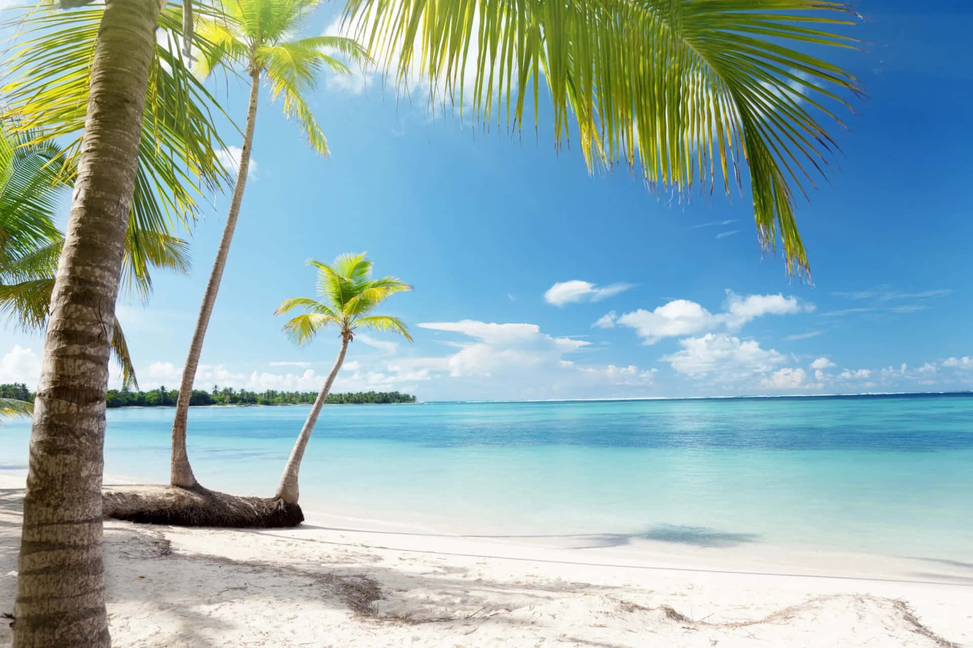 Immaginedel Paradiso Di Spiaggia Con Sabbia Bianca