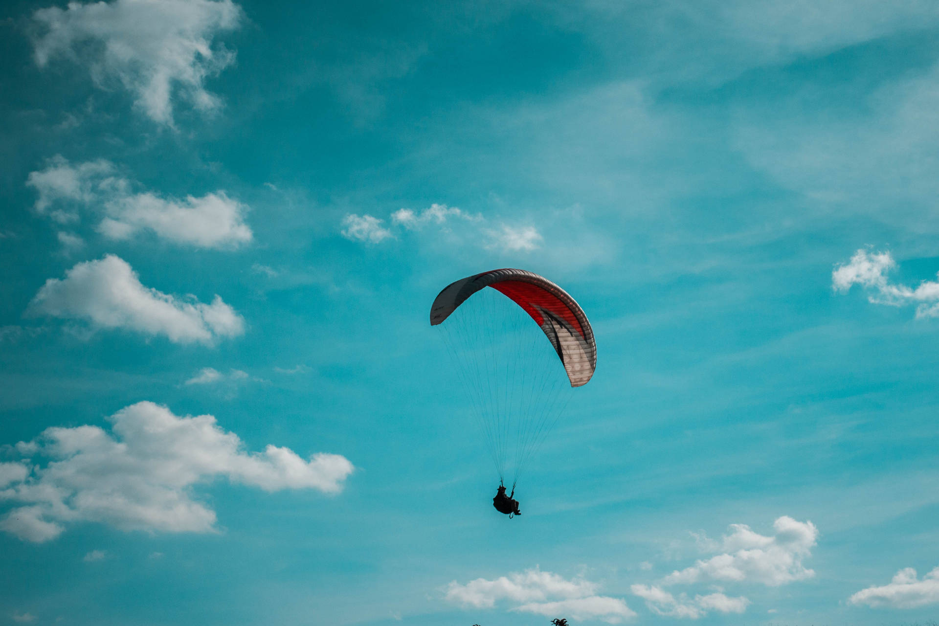 Paraglidinghoch In Den Himmel Wallpaper