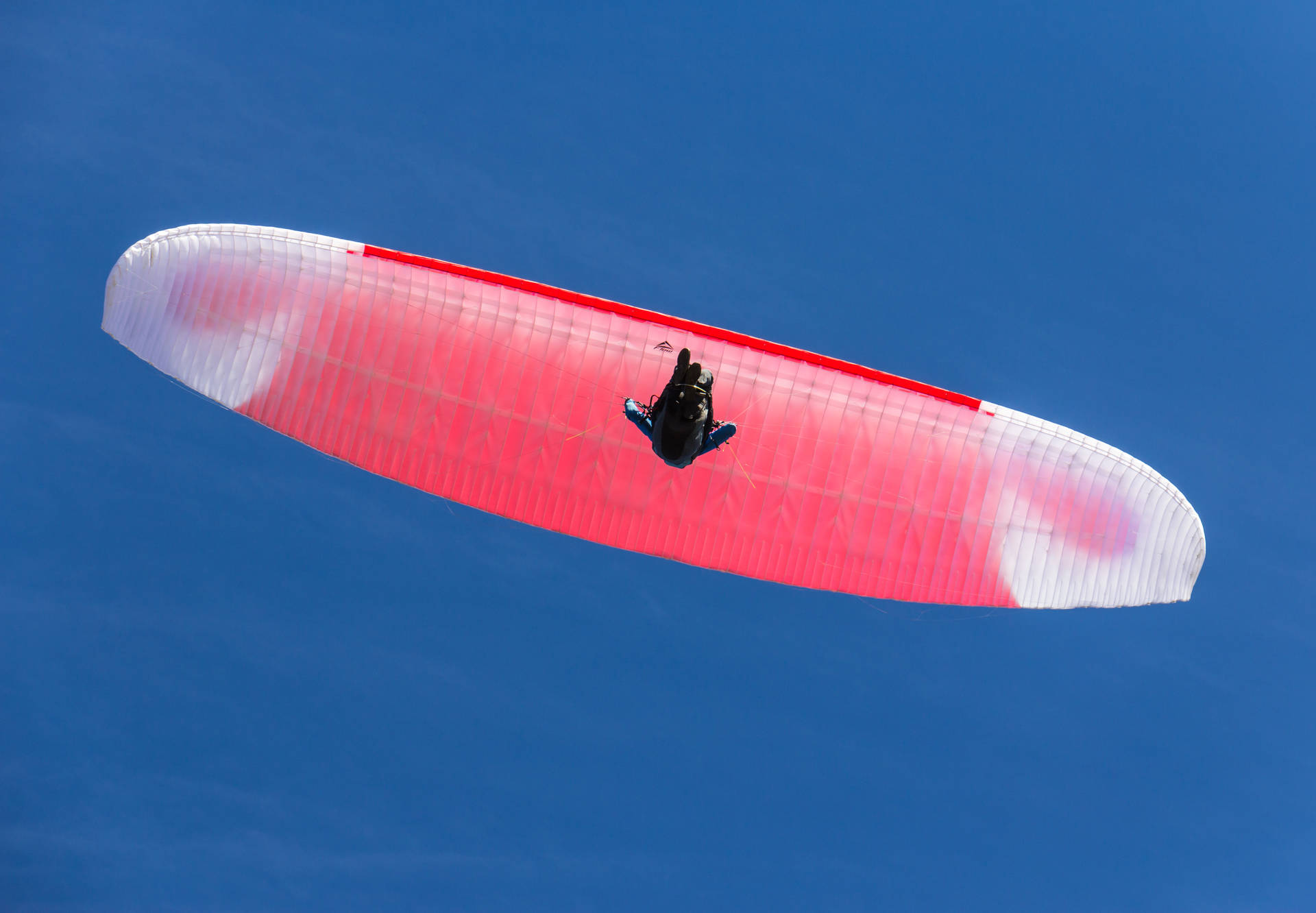 Paraglidingaus Der Wurmperspektive Wallpaper