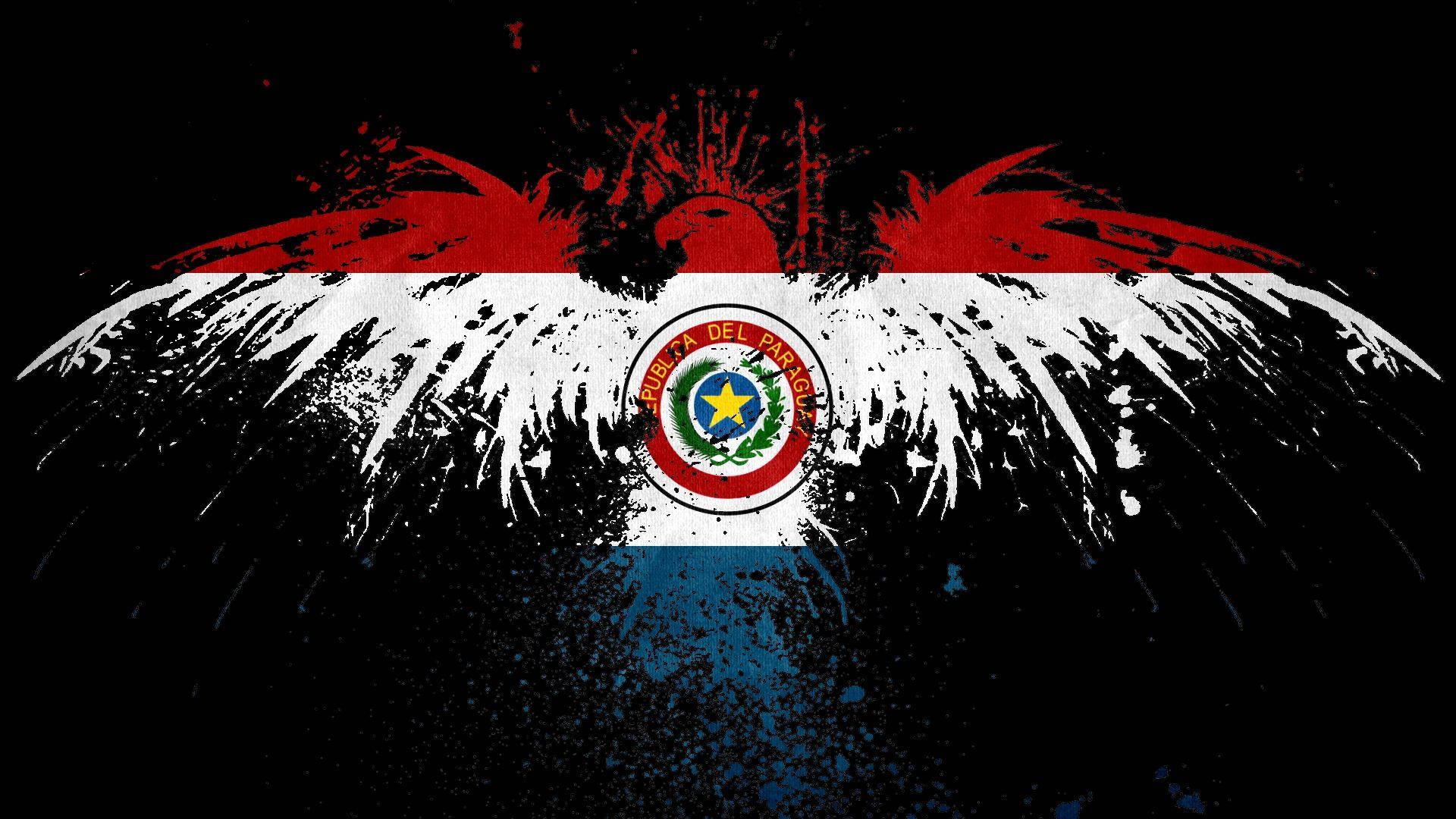 Paraguay Flag Eagle Outline Wallpaper