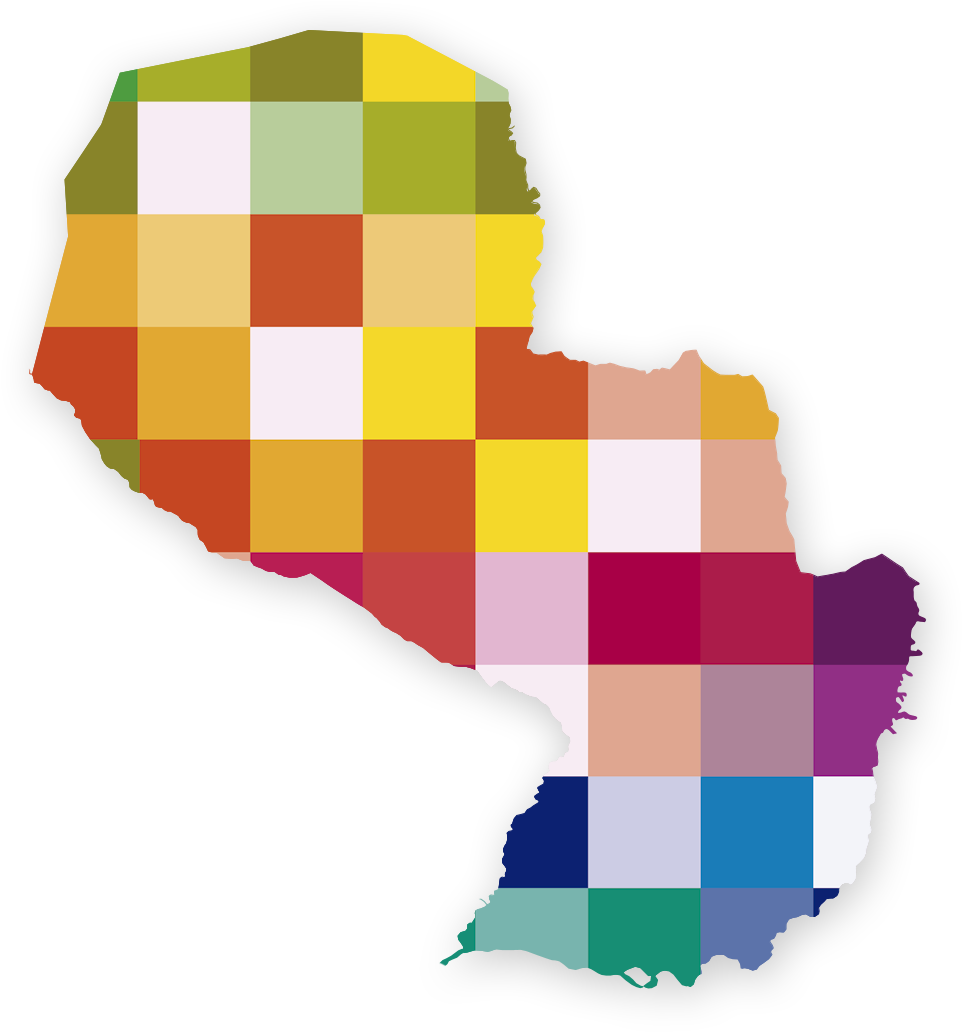 Paraguay Map Colorful Patchwork PNG