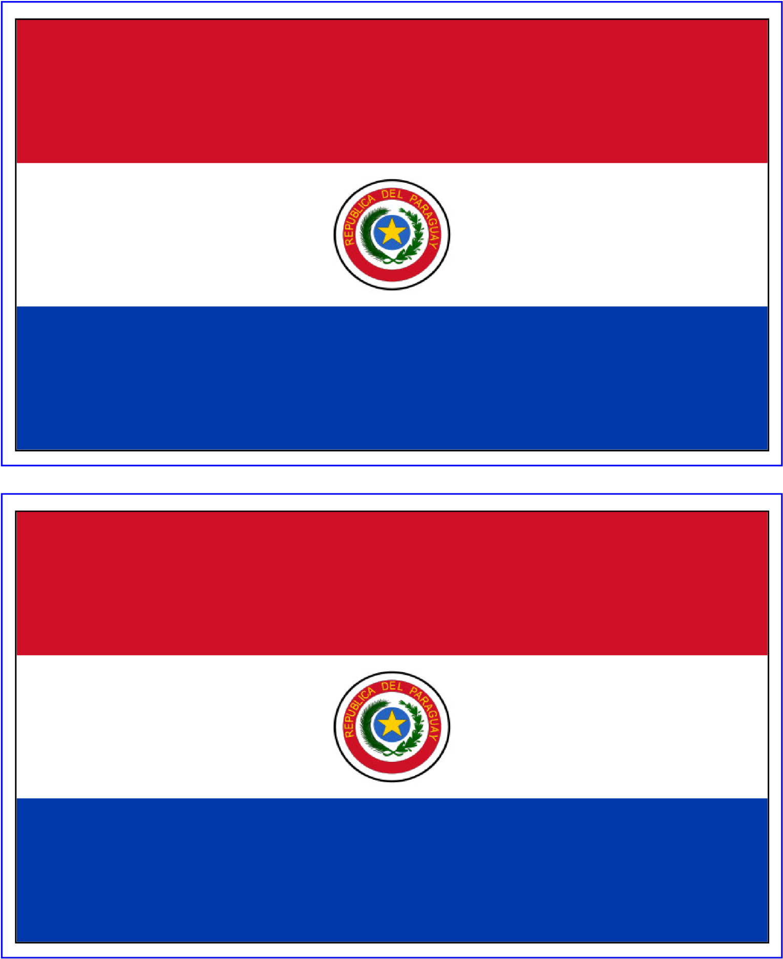 Paraguay National Flag Frontand Back PNG