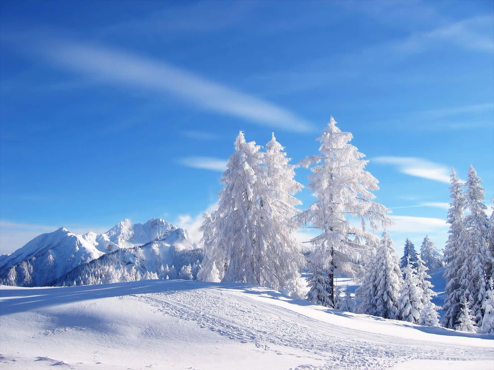 Paraísoinvernal Nevado