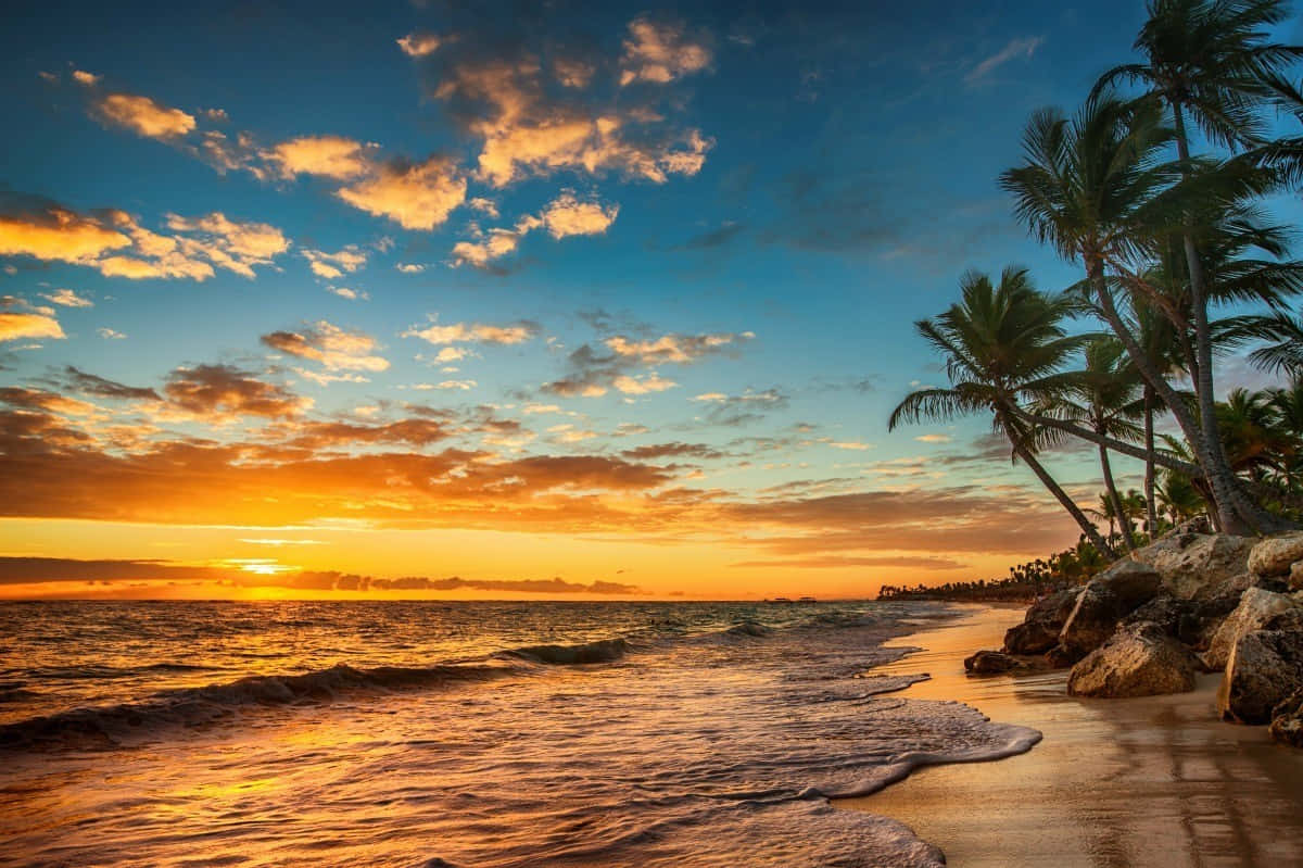 Paraísotranquilo: Una Vista Serena De La Playa Con Aguas Cristalinas Y Exuberantes Cocoteros.