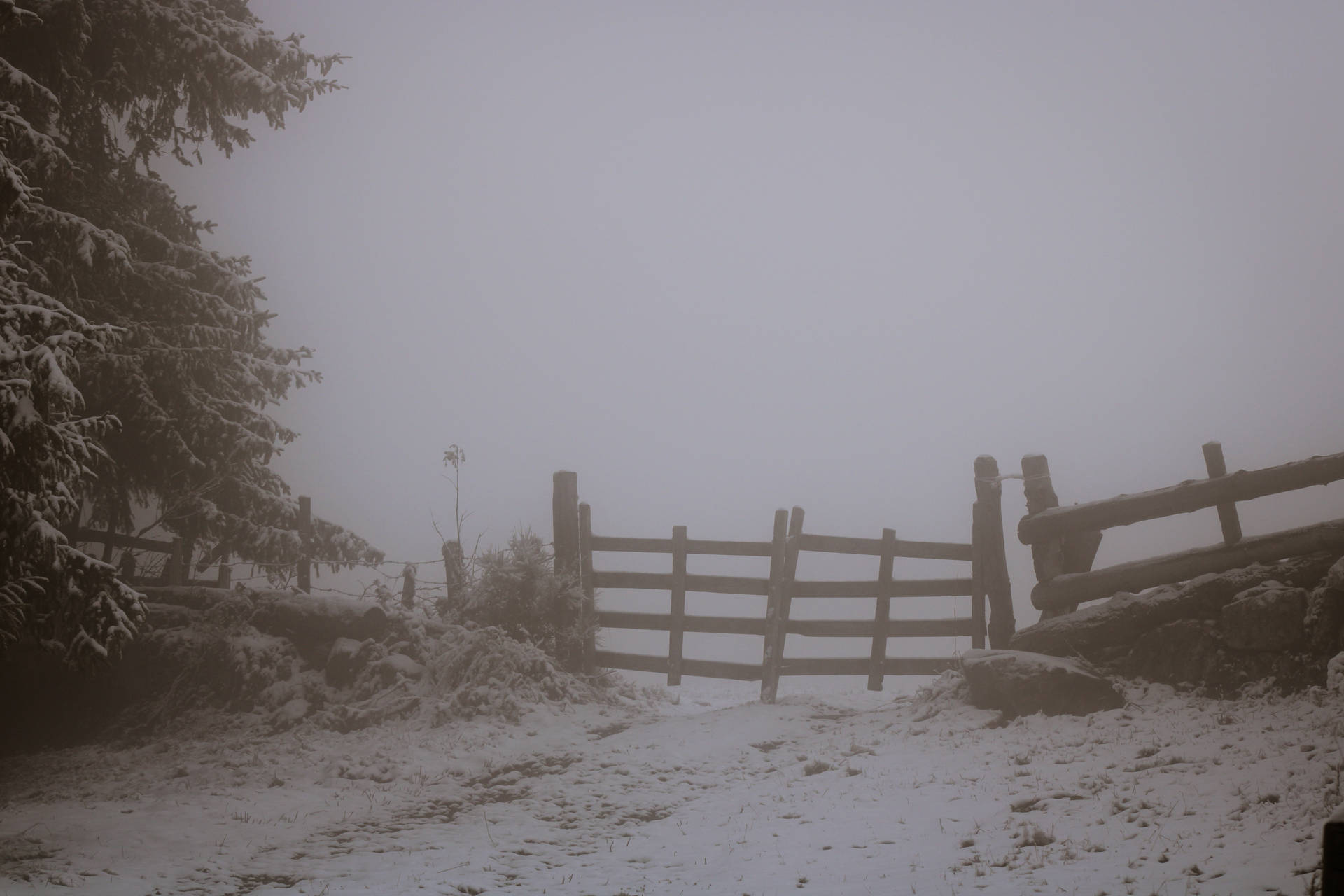 Paranormal Foggy Winter Farm