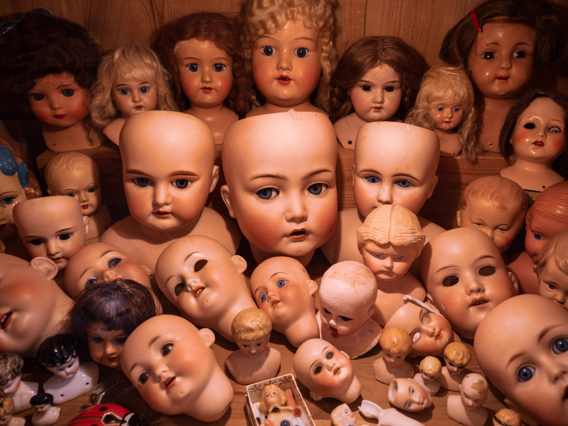 Paranormal Spooky Doll Collection