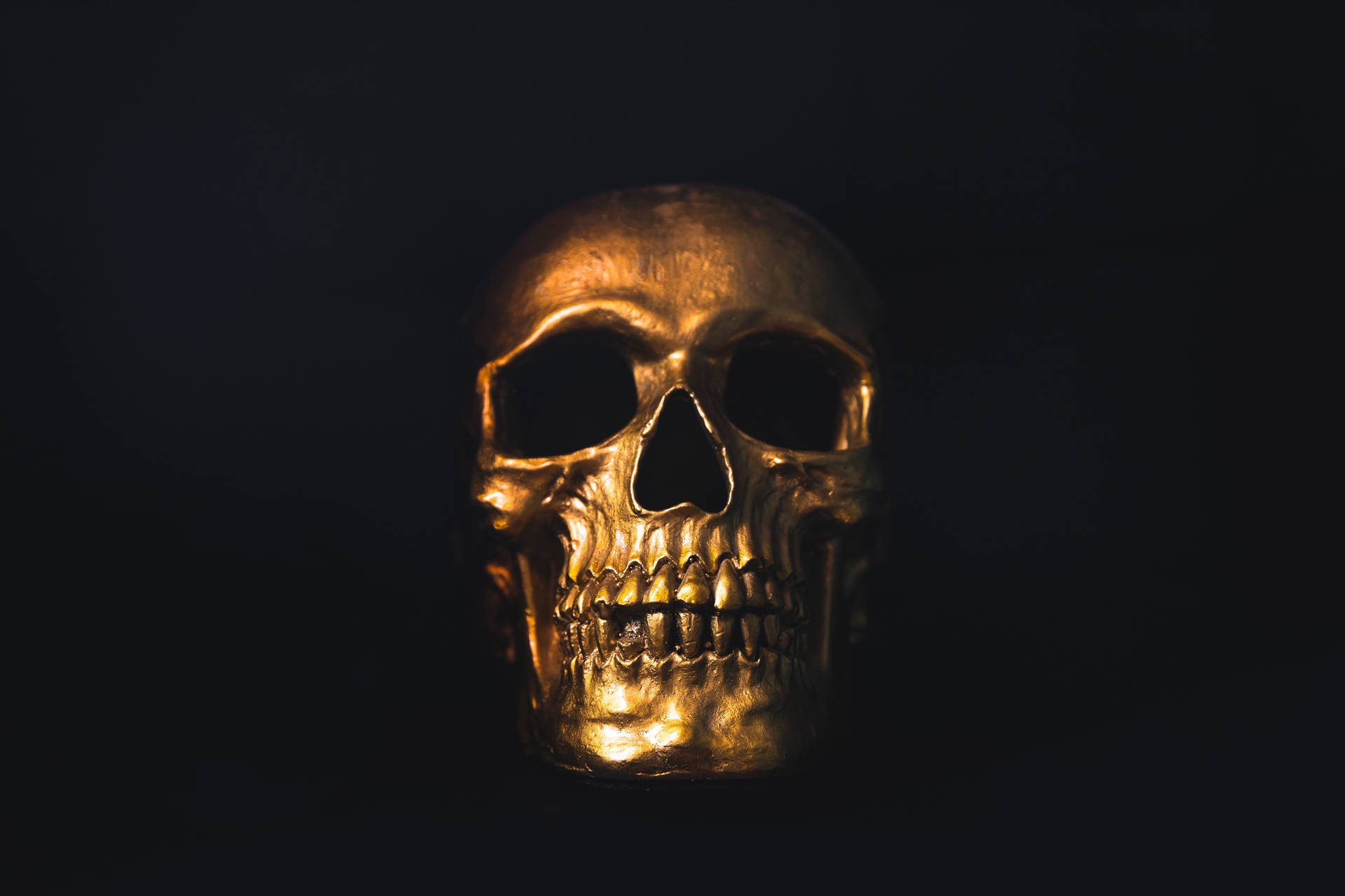 Paranormal Spooky Gold Skull Decor