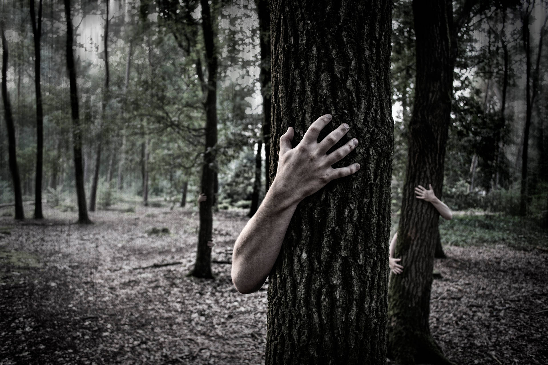 Eerily Intriguing Picture of Ghostly Hands Grasping Tree Trunks Wallpaper